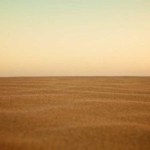 Meet your Posher, Paul